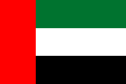 Abu Dhabi (UAE) Flag